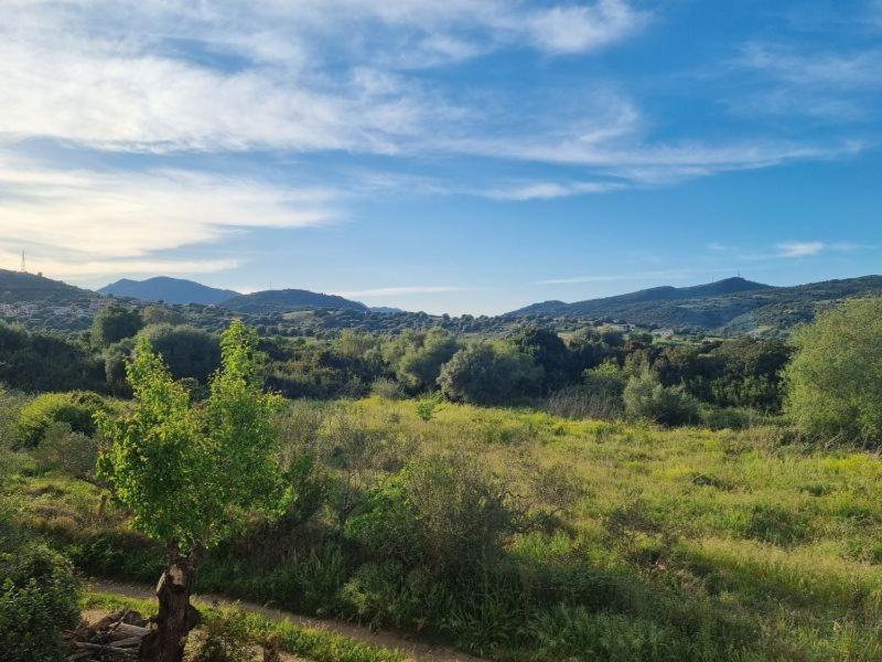 Il Casale Villa Budoni Esterno foto